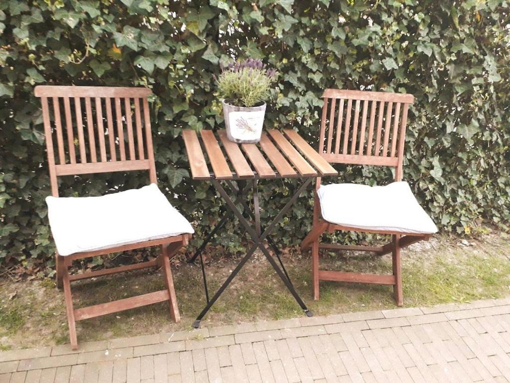Vakantiehuis Zeeduinsepoort